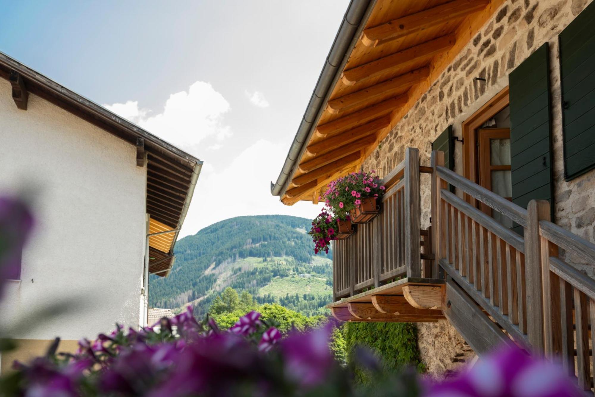 B&B Le Molinare Home Relax Varda Экстерьер фото